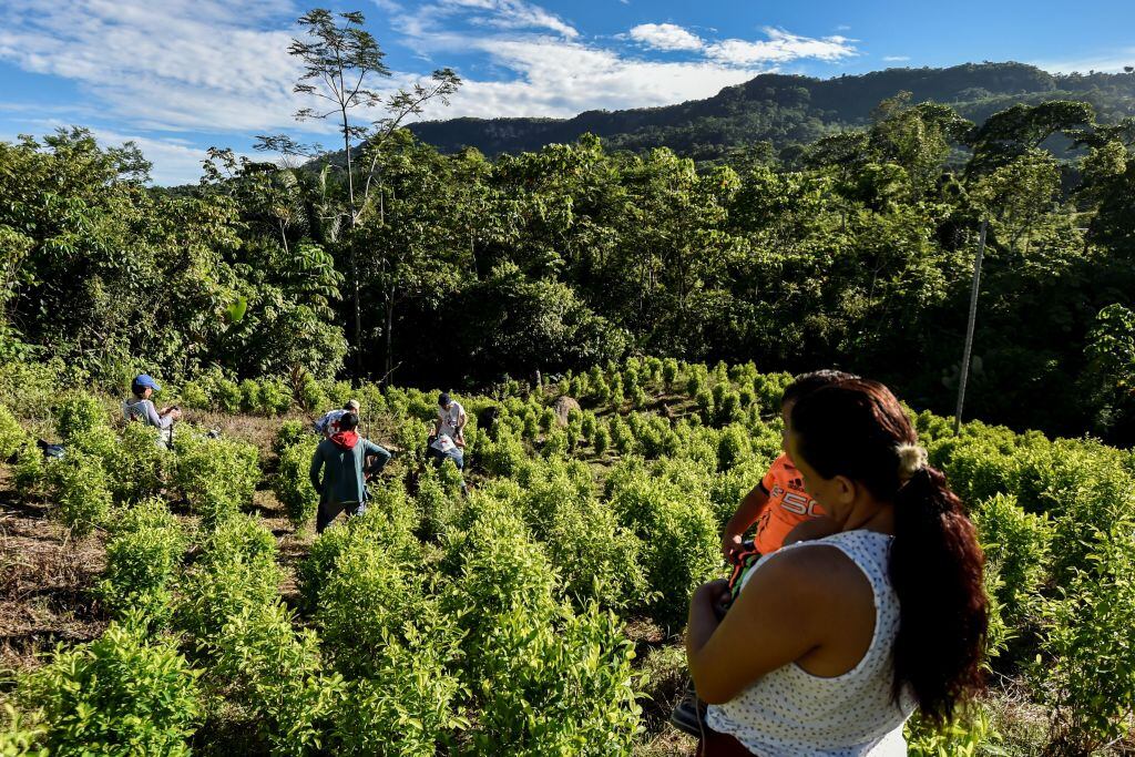 Miembros de la Cruz Roja visitan comunidades que defiendes sus tierras en Colombia