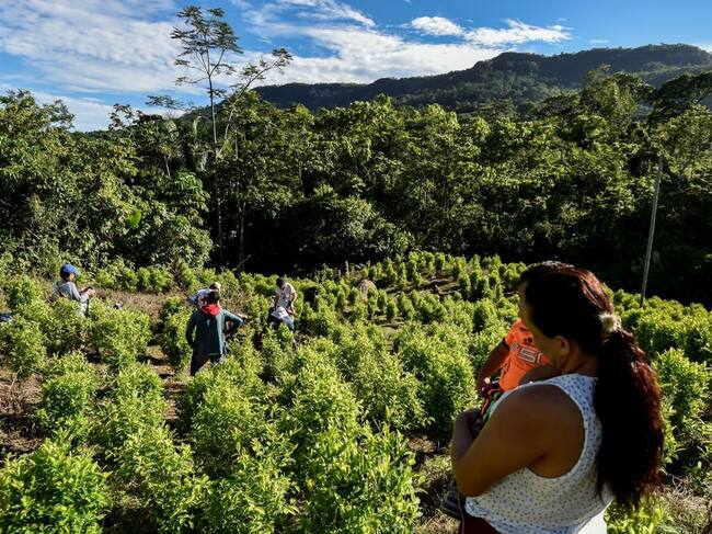 Miembros de la Cruz Roja visitan comunidades que defiendes sus tierras en Colombia