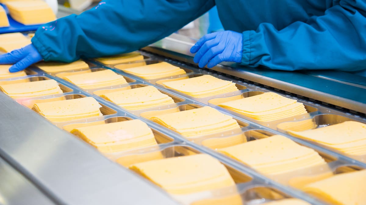 Alerta sanitaria en Biobío: prohíben funcionamiento de planta de Lácteos Matthei por hallazgo de Listeria