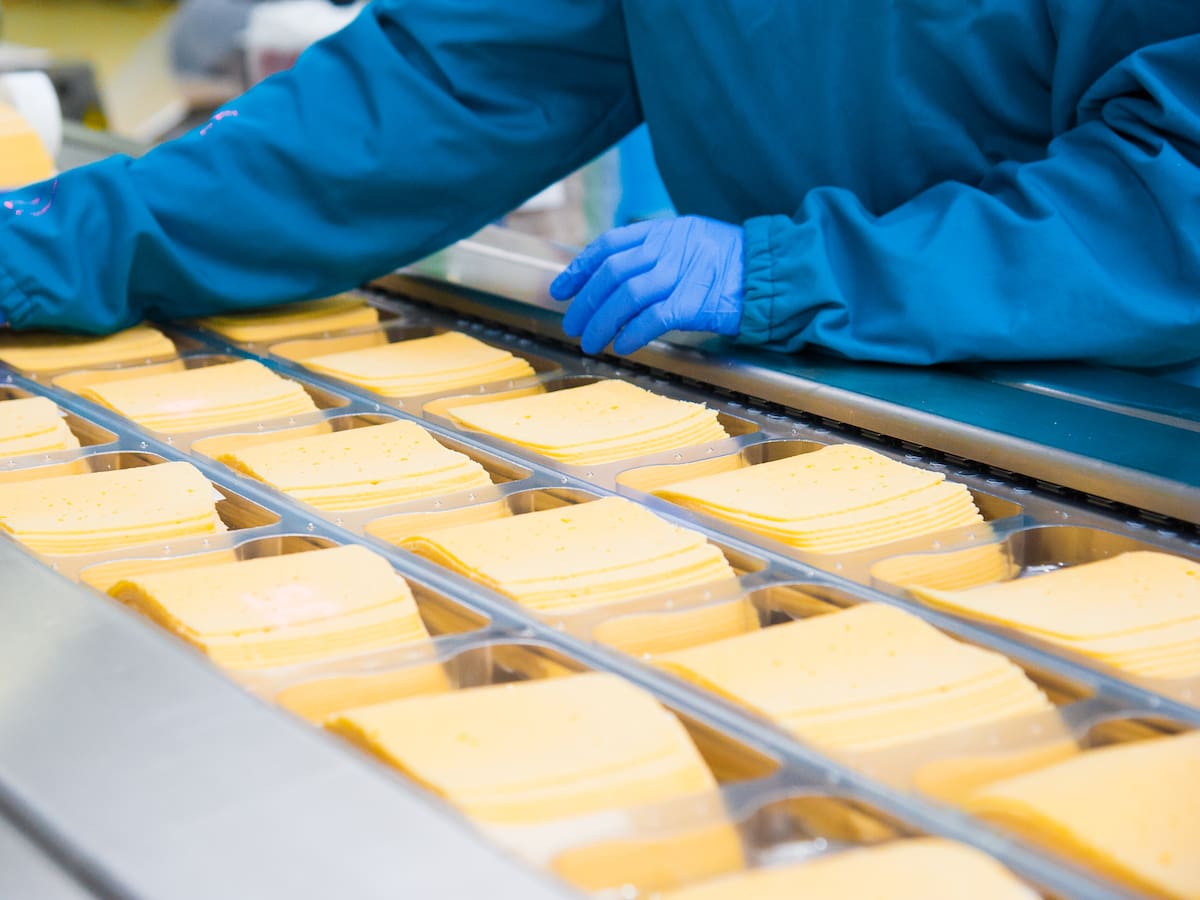 Alerta sanitaria en Biobío: prohíben funcionamiento de planta de Lácteos Matthei por hallazgo de Listeria
