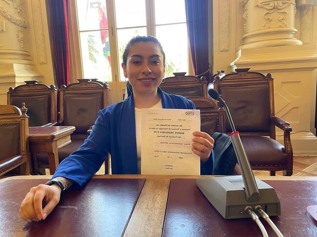 Vendía entradas de cortesía a Fantasilandia: Contraloría oficia a Municipalidad de Santiago por concejala