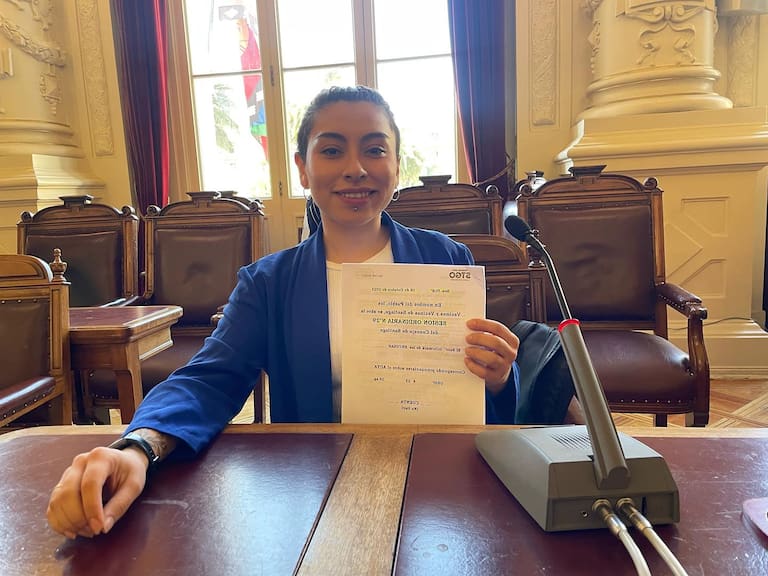 Vendía entradas de cortesía a Fantasilandia: Contraloría oficia a Municipalidad de Santiago por concejala