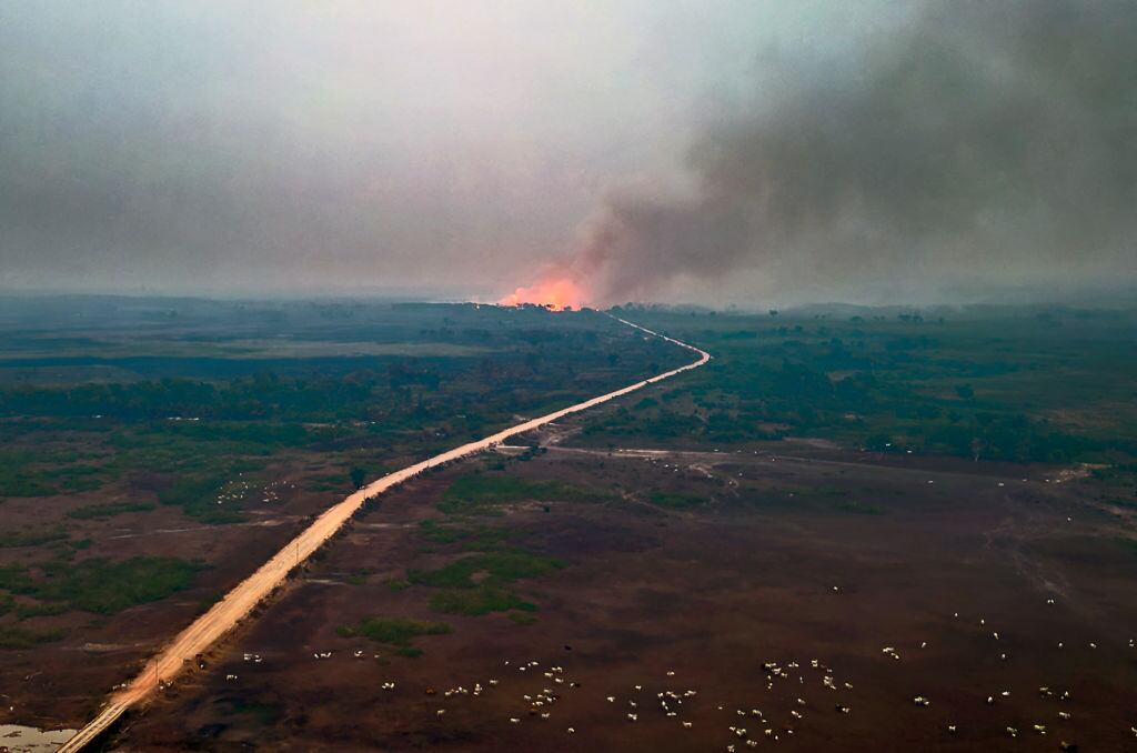 Vista del fuego consumiendo una zona en el Pantanal de Brasil. Imagen de archivo.