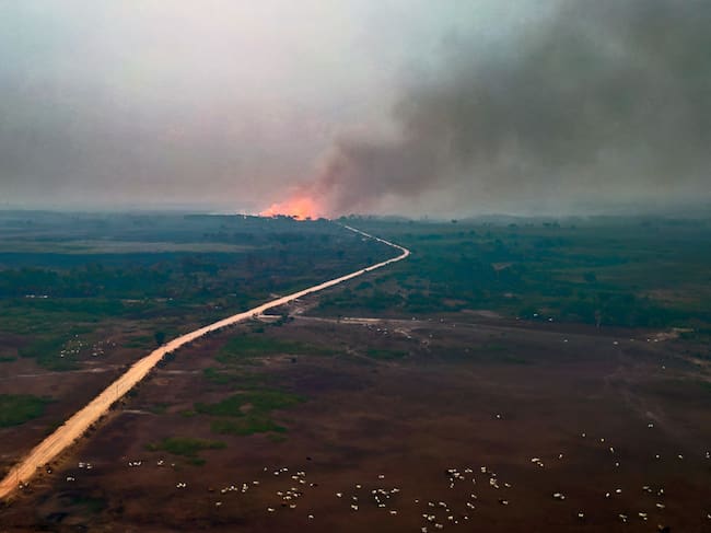 Vista del fuego consumiendo una zona en el Pantanal de Brasil. Imagen de archivo.