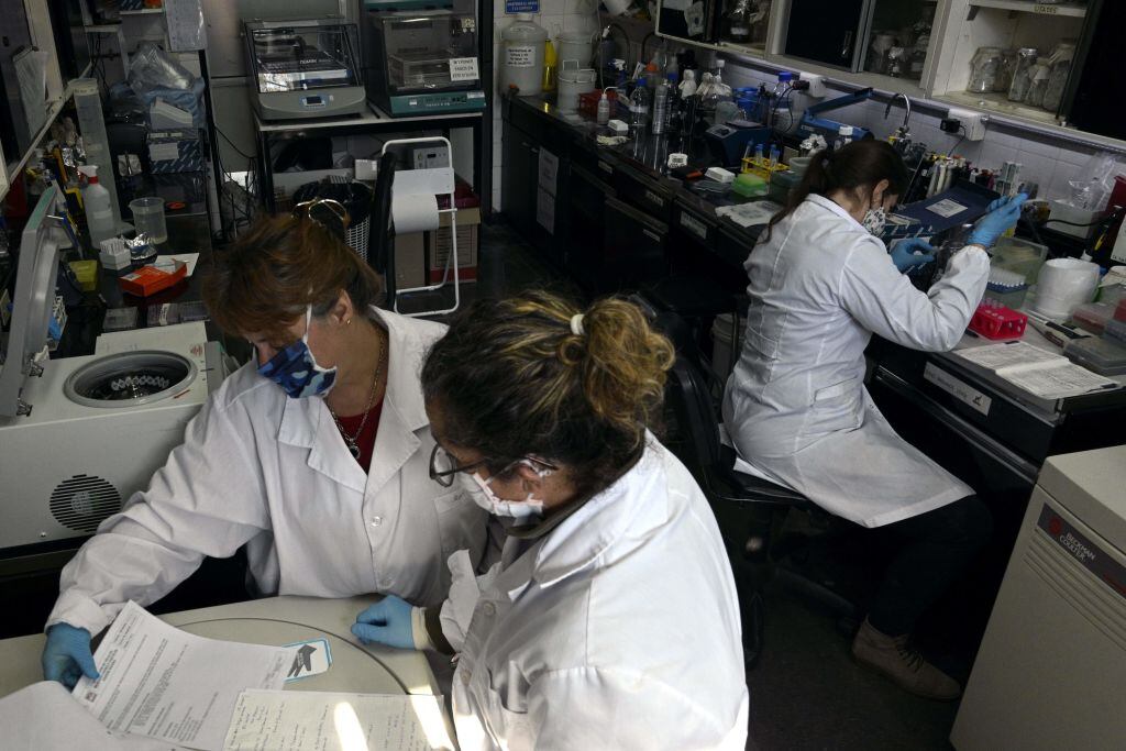 Investigadores de Argentina