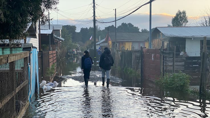 Senapred activa mensajería SAE y llama a evacuar riberas de tres ríos en la región de Los Lagos