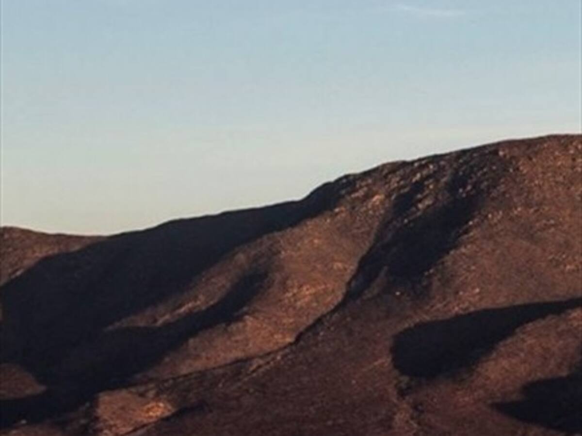 Tribunal ambiental revierte rechazo y abre opción de retomar proyecto Dominga
