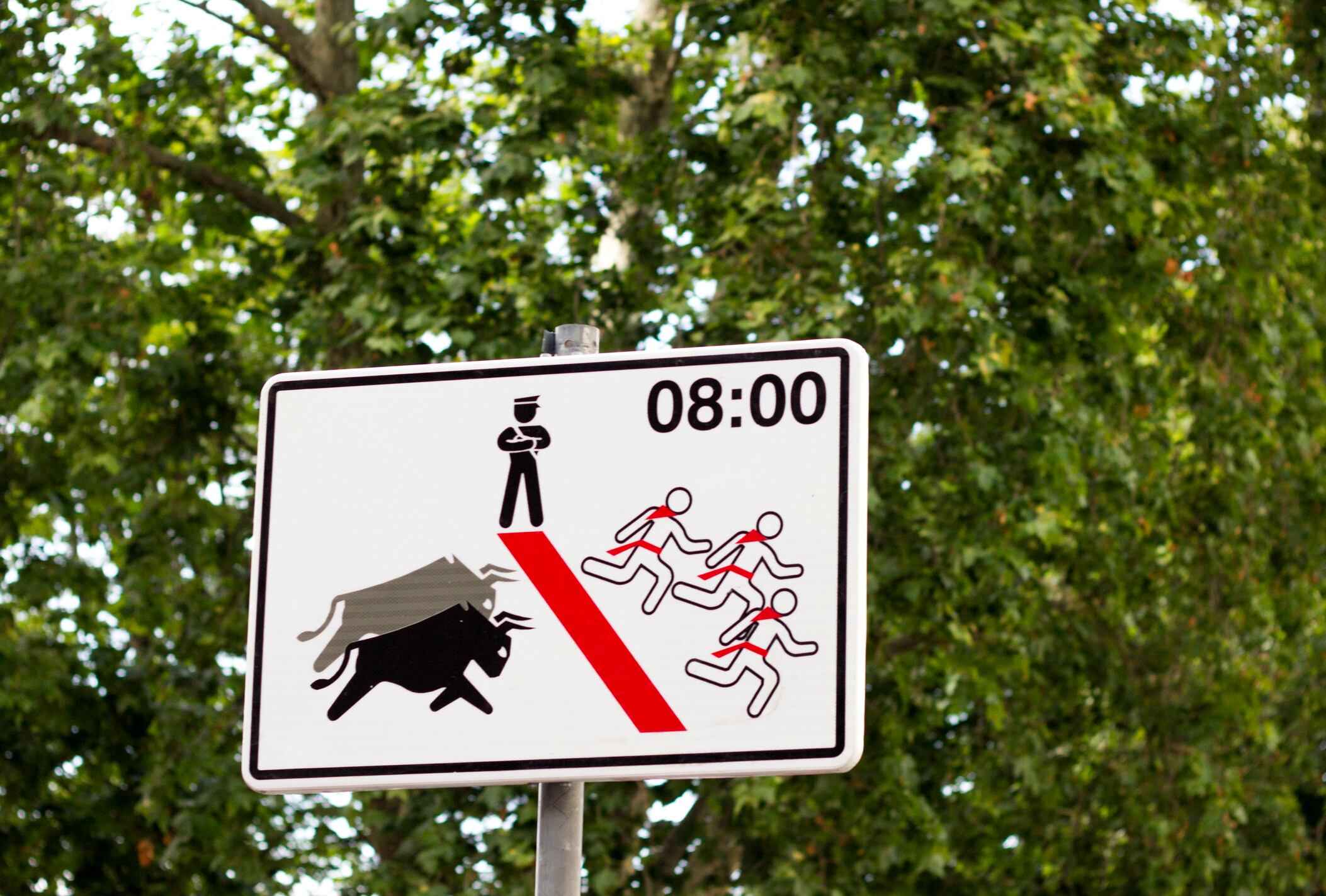 Corrida de toros en España