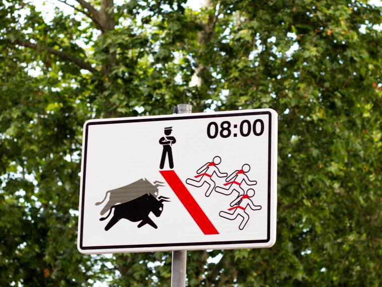 Corrida de toros en España