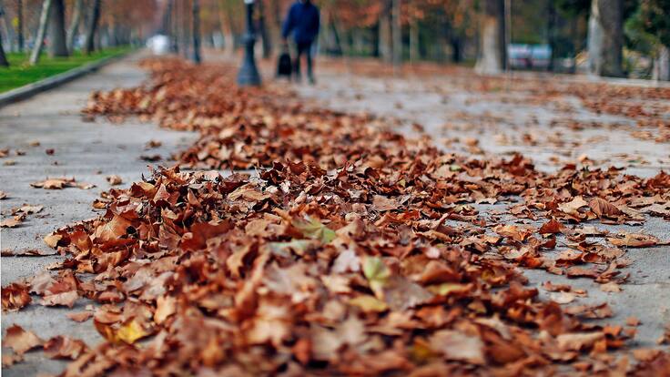 ¿Hasta cuándo dura el otoño en Chile y cuál es el pronóstico meteorológico para esta estación en 2024?