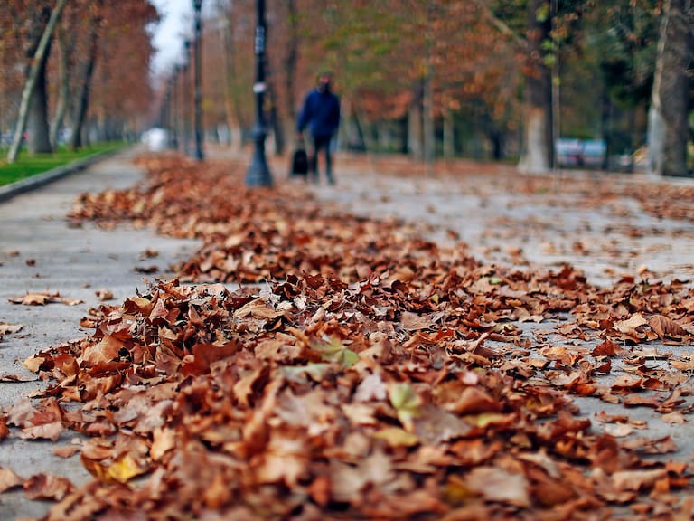 ¿Hasta cuándo dura el otoño en Chile y cuál es el pronóstico meteorológico para esta estación en 2024?