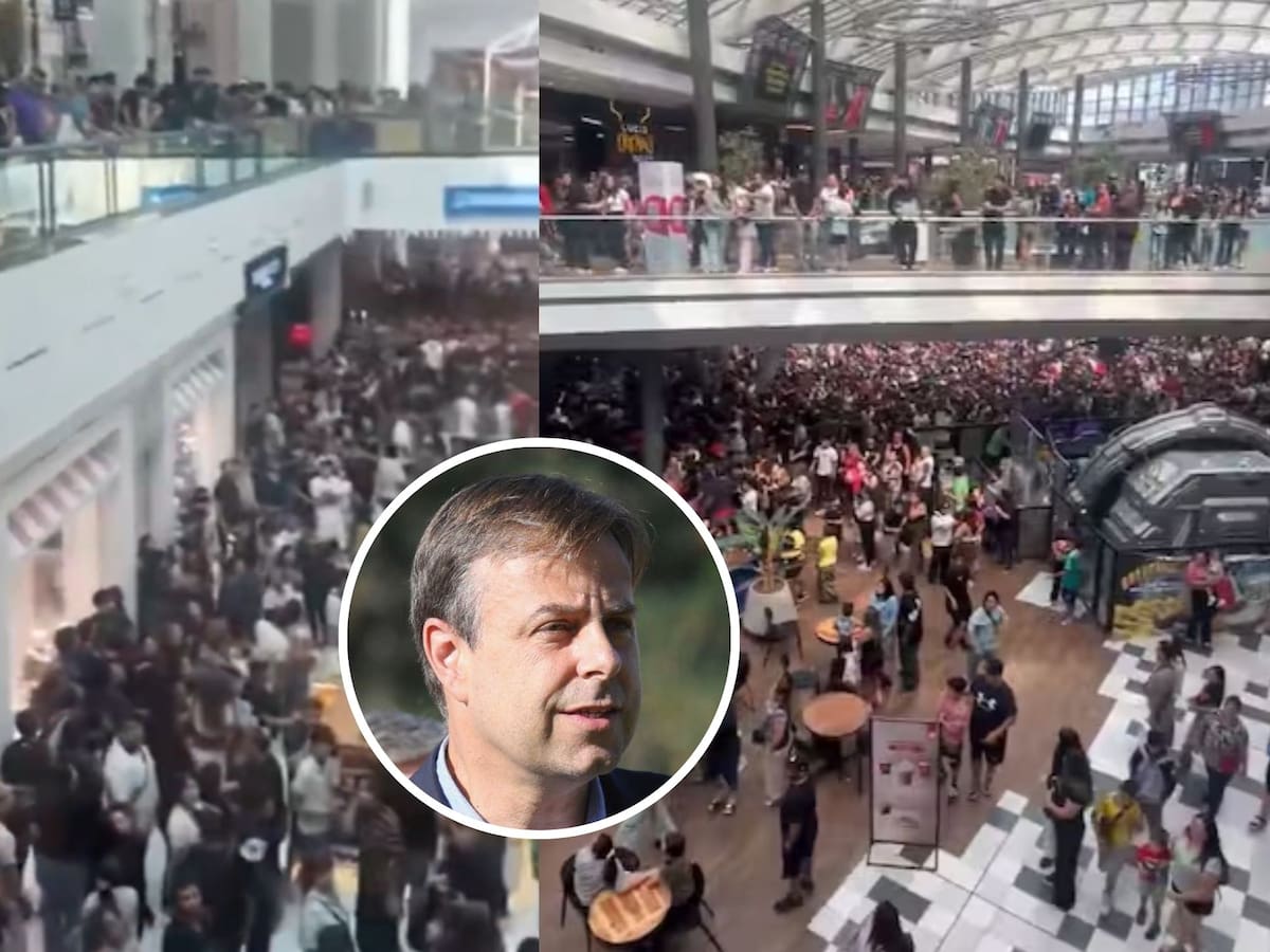 Gobierno presenta querella tras caos por “lluvia de plata” organizada por influencers en Mall Plaza Vespucio