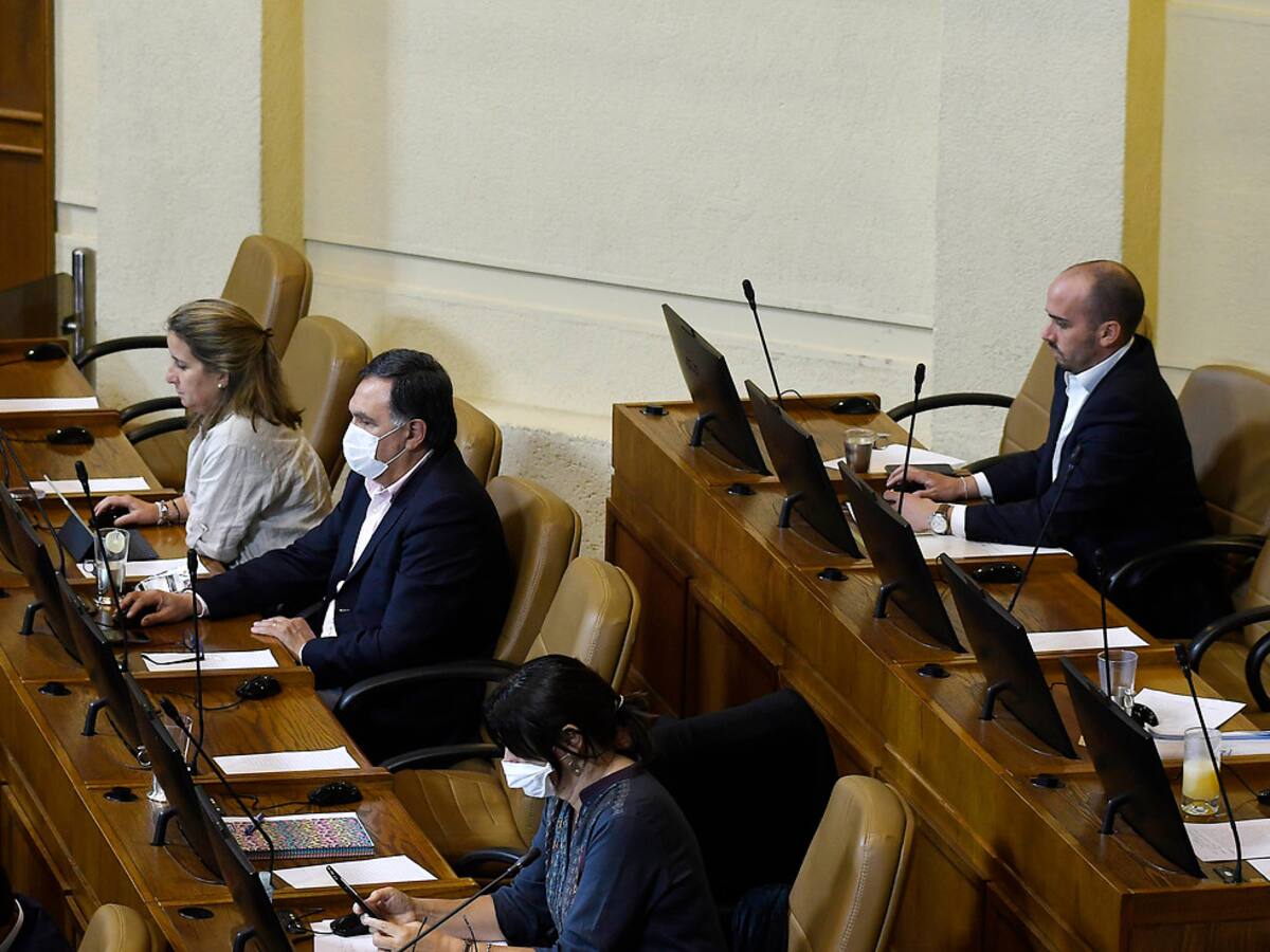 No hubo quórum: Cámara rechazó idea de legislar voto a distancia