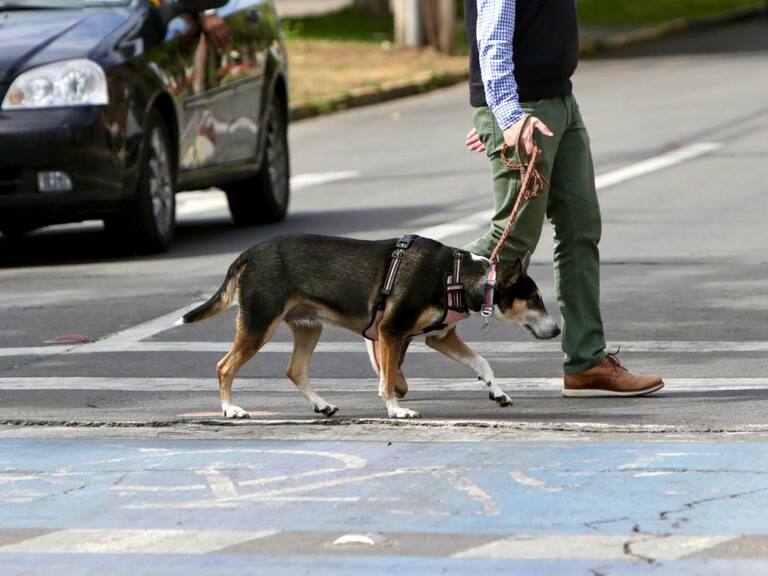 Agencia Uno | Imagen referencial