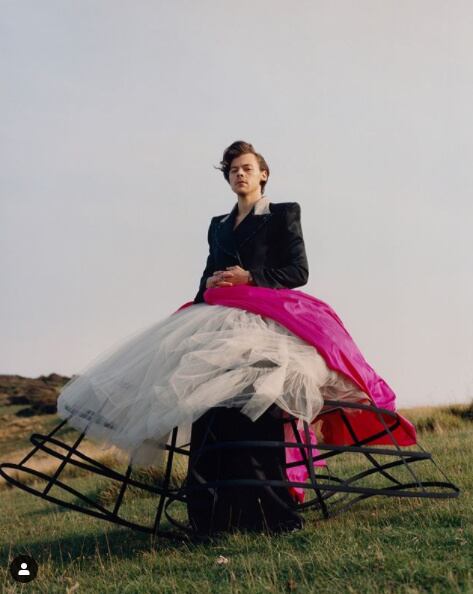 Harry Styles en Vogue