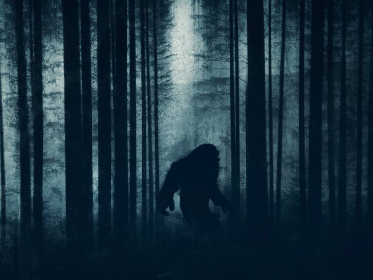 ¿Qué es realmente el Pie Grande? Estudio revela con qué animal sería confundido en la mayoría de los avistamientos