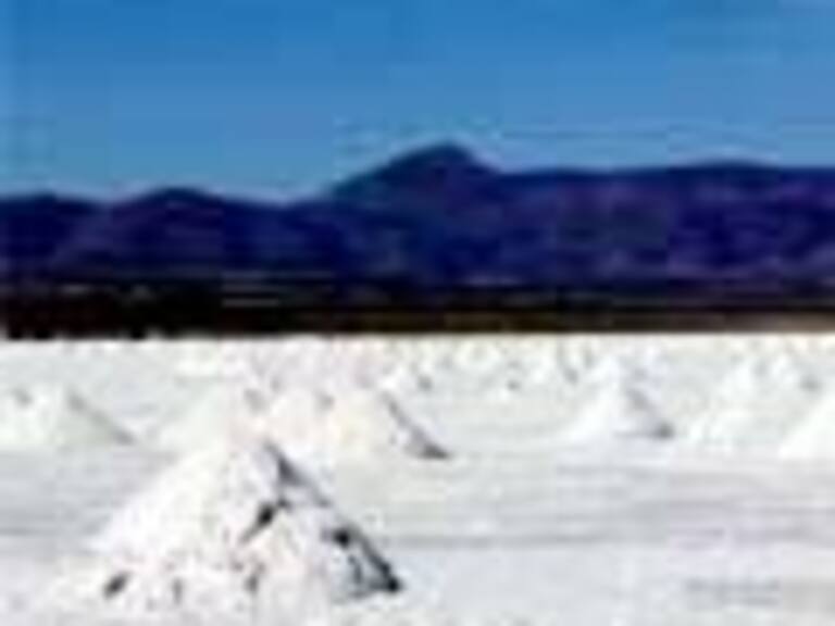 Li Energy Spa presentó documentos para invalidar licitación del Litio a SQM