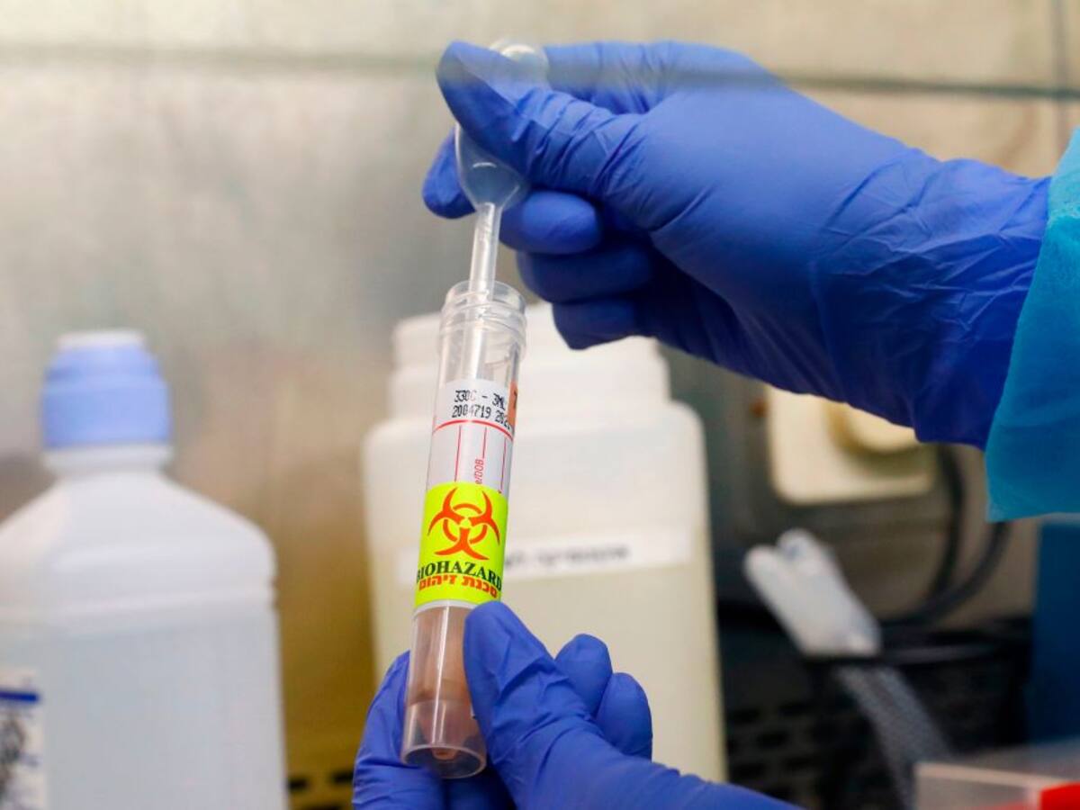 Científicos alemanes afirmaron que lograron dar con la principal enzima del coronavirus para aislarla y combatirla