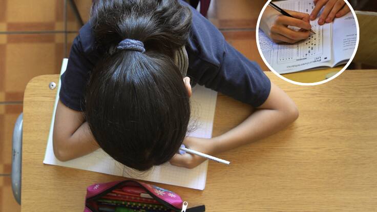 Estos son los colegios que concentran la mayor cantidad de puntajes nacionales en la PAES 2025