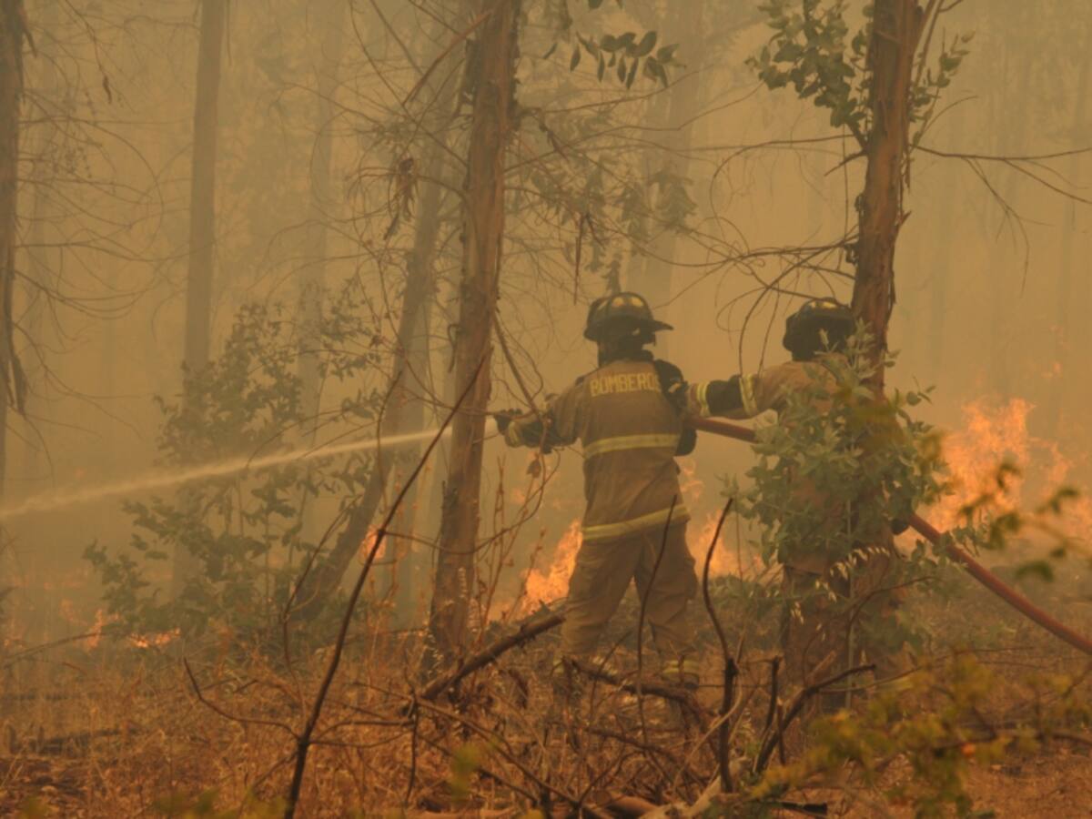 Coronel: Senapred ordena evacuar Quetra y San Ricardo por incendio forestal