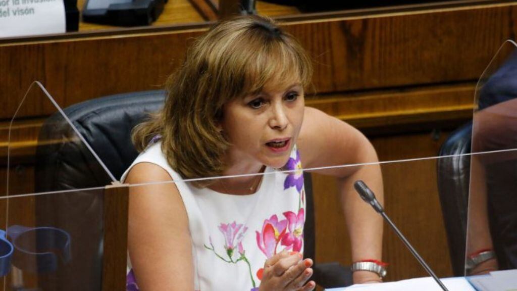 Loreto Carvajal, senadora PPD - elección fiscal nacional