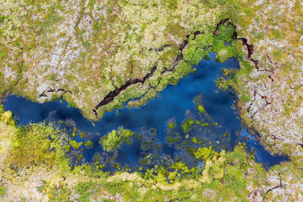 En una región cercana al Ártico en Suecia los científicos observan que el permafrost se derrite por los efectos que trae el calentamiento global