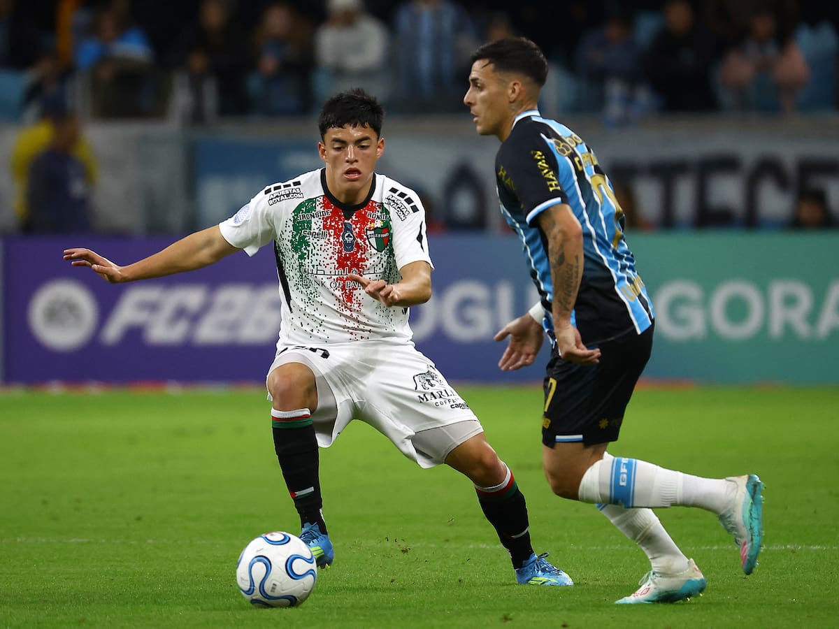 Palestino cae ante Gremio y es eliminado de la Copa Sudamericana