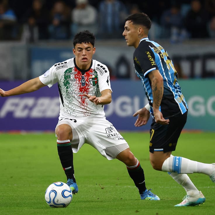 Palestino cae ante Gremio y es eliminado de la Copa Sudamericana