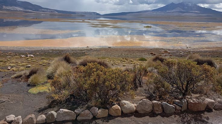 Empresario Luis Araya Valdecchy solicita rectificación por informaciones sobre el caso de derrame en el Lago Chungará