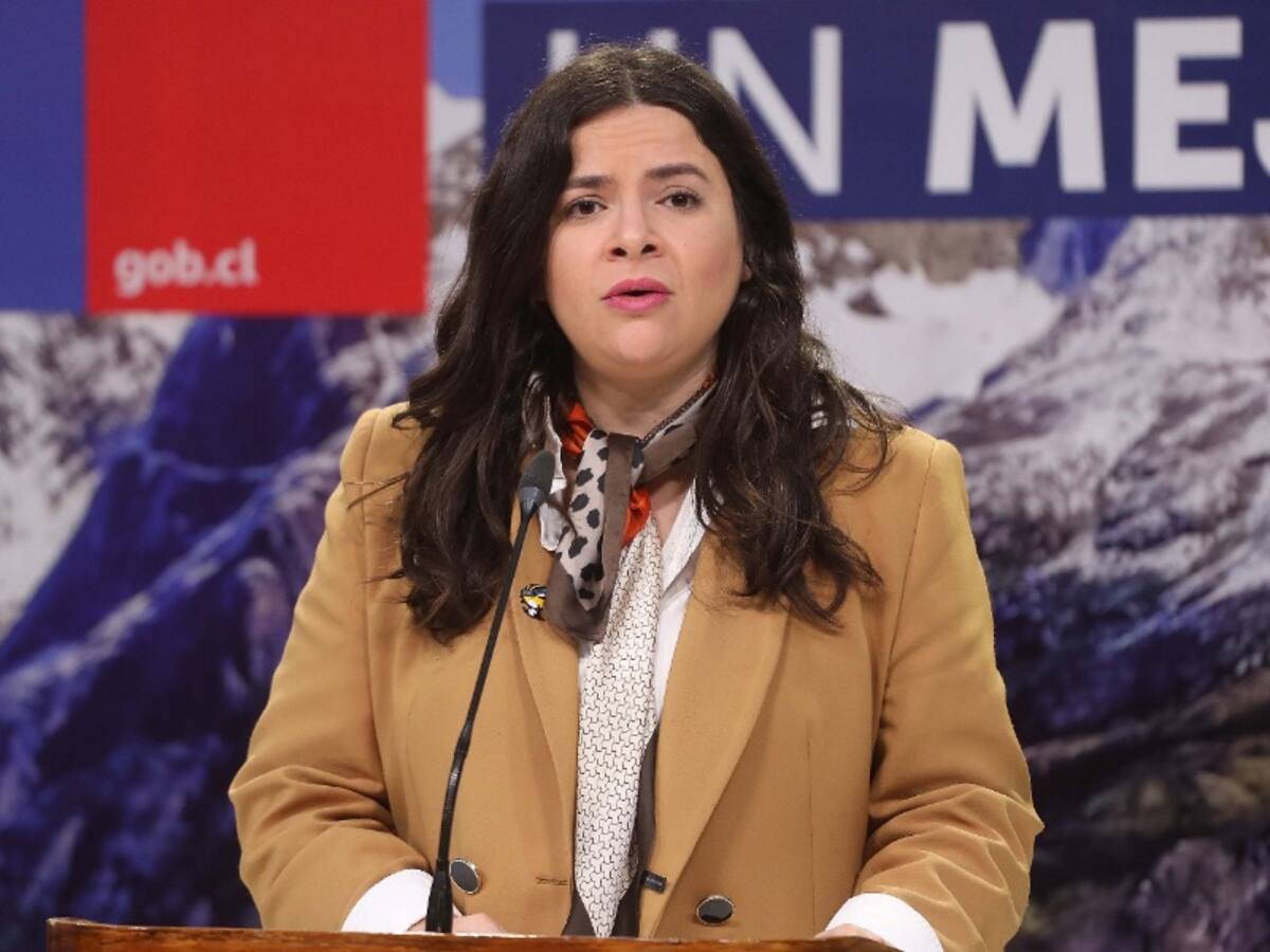 Ministra de la Mujer apunta a «la poca medición de riesgo de las instituciones» en el caso de Jordhy Thompson y fuga de alcalde de Renaico