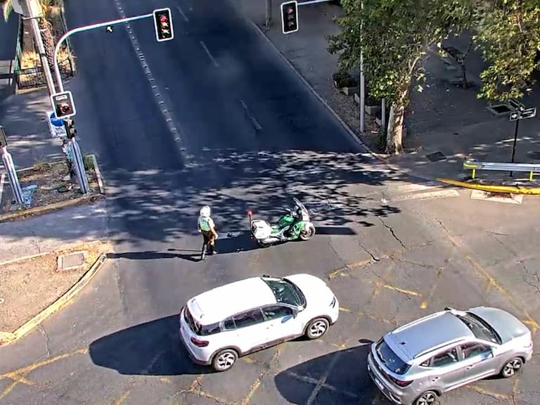 Un peatón habría cruzado por un lugar no habilitado y provocado la maniobra que terminó en tragedia.