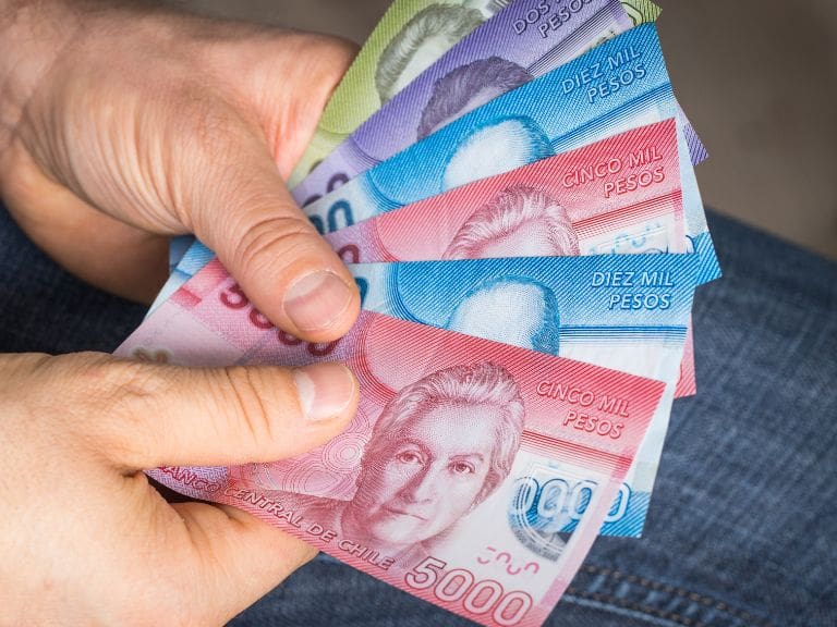 Aporte familiar permanente: revisa cómo consultar con tu Rut si te corresponde el beneficio