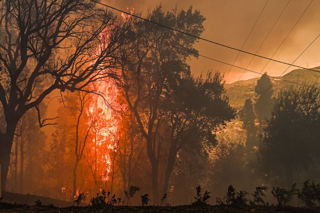El fuego consume los árboles en la localidad de Ancede del municipio Baiao en Portugal