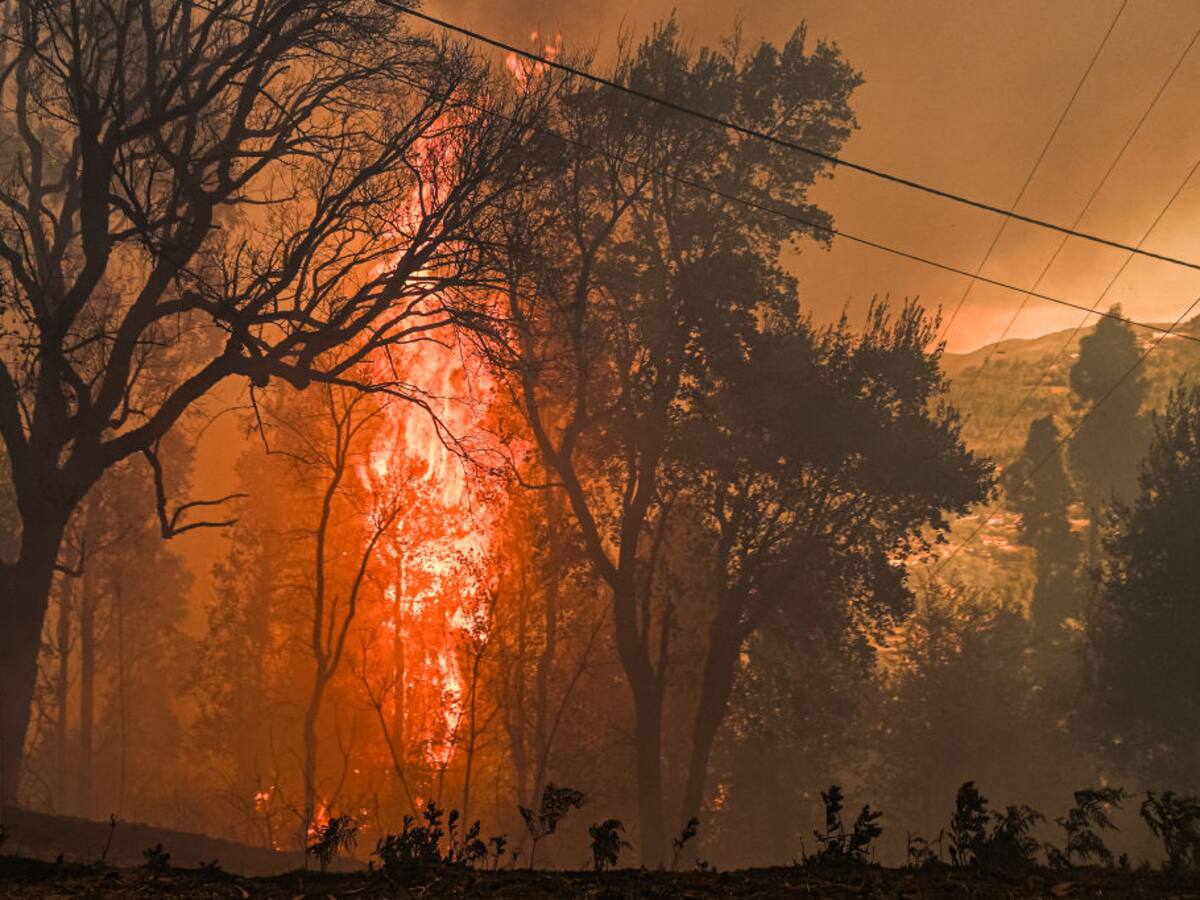 Por problemas de salud mental: decretan libertad de mujer acusada de causar incendio fatal en Los Sauces