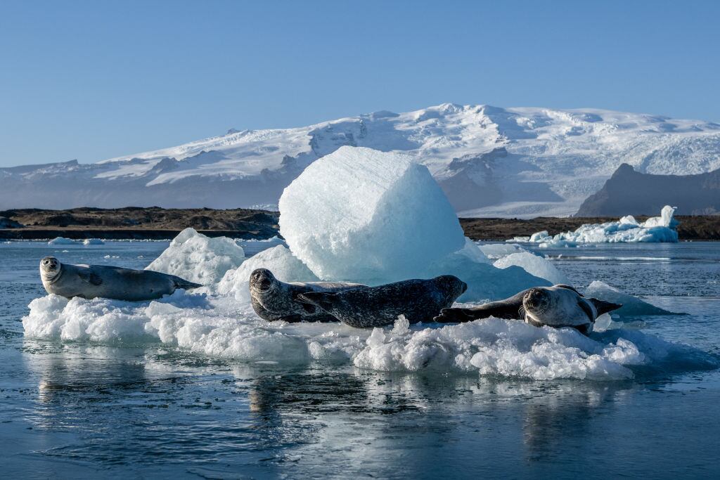 Glaciares se derriten en lago del hemisferio norte por calentamiento global