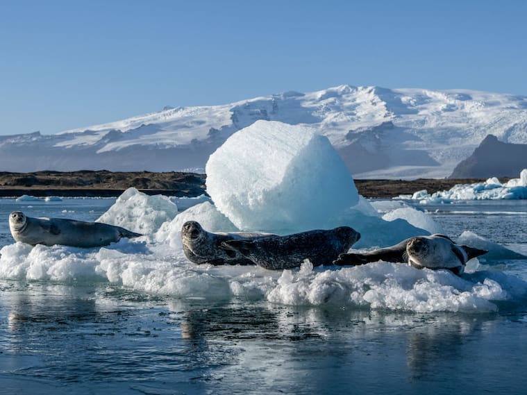 Glaciares se derriten en lago del hemisferio norte por calentamiento global