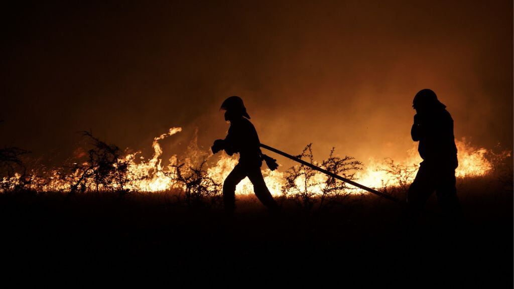 Incendios forestales en Valparaíso: revisa los centros de acopio, albergues de personas y mascotas