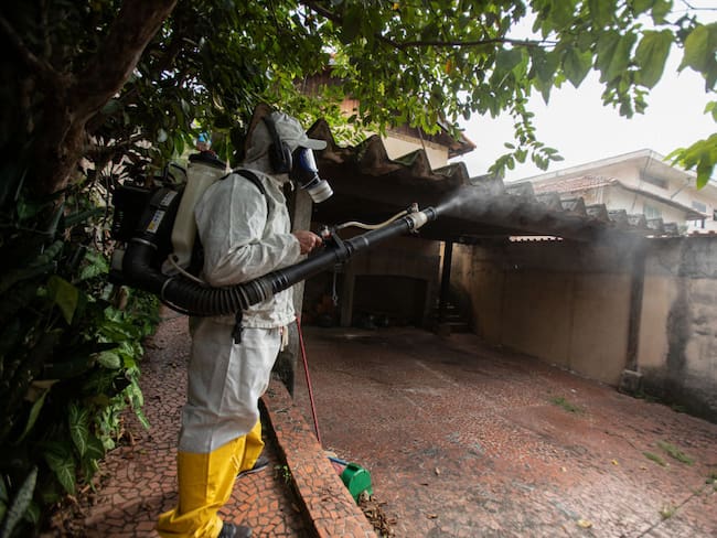 Brasil con más de 1.000 muertes por el dengue y cerca de superar su registro histórico
