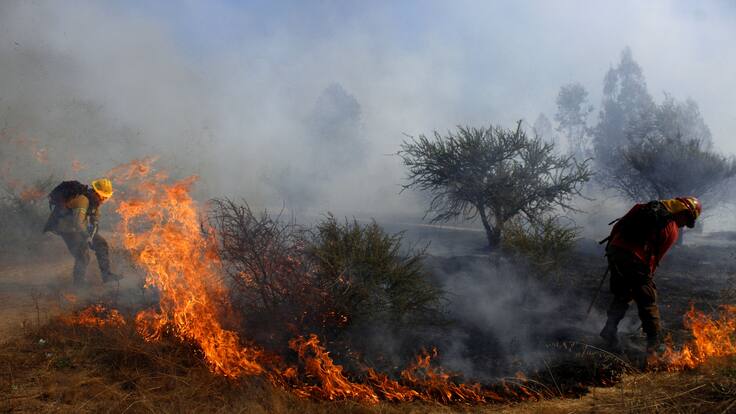 Gobierno se querellará contra voluntario acusado de iniciar incendio forestal en Villa Alemana