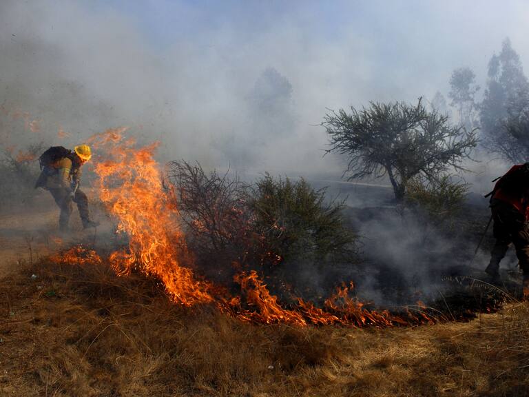 Gobierno se querellará contra voluntario acusado de iniciar incendio forestal en Villa Alemana