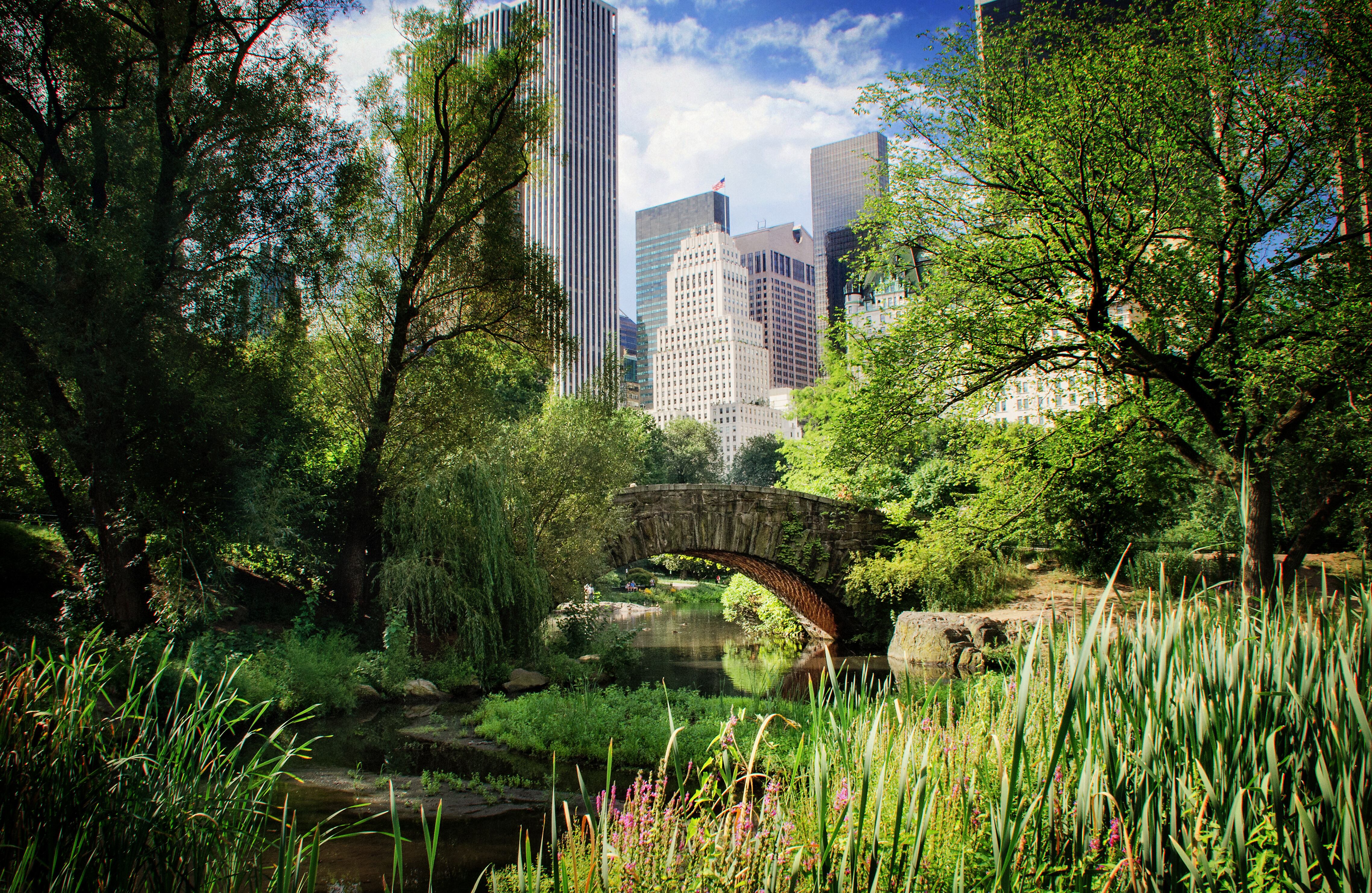 Central Park en Nueva York.