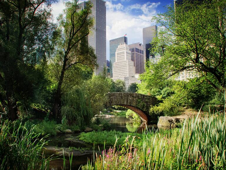 Central Park en Nueva York.