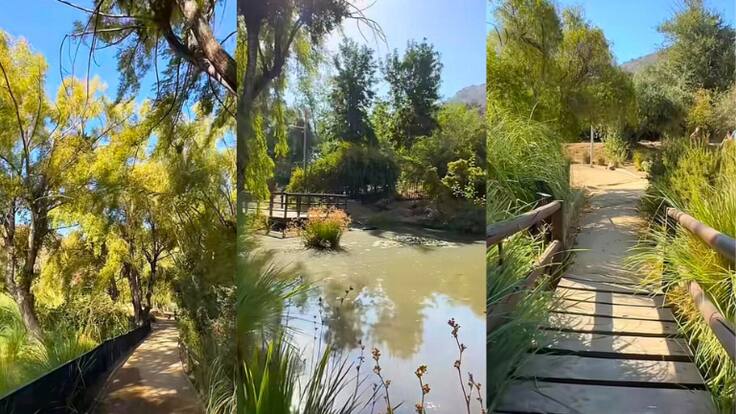 “Un tesoro verde en la ciudad”: este es el bosque que se ubica en pleno Santiago y con diversos senderos para recorrer gratis