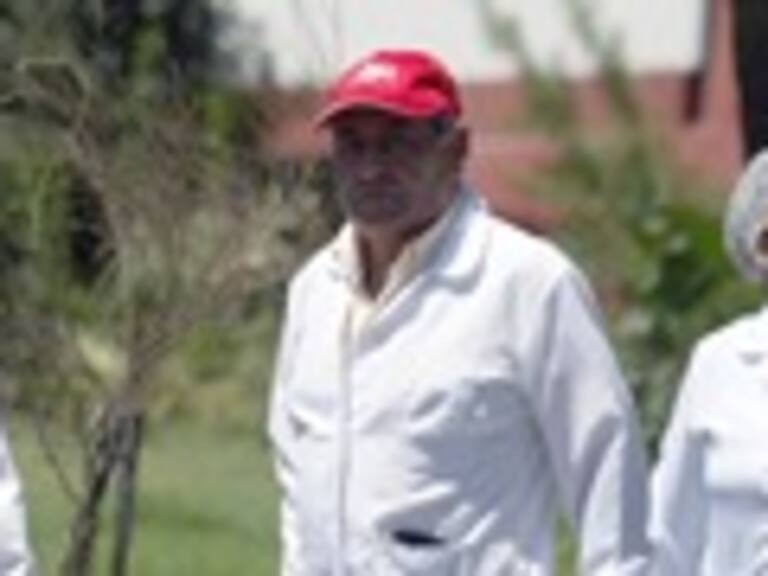 Fruna: Sumario está en curso y a la espera que la empresa haga sus descargos