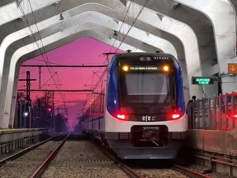 Suspenden el servicio de Tren Rancagua - Estación Central por caída de árbol en las vías