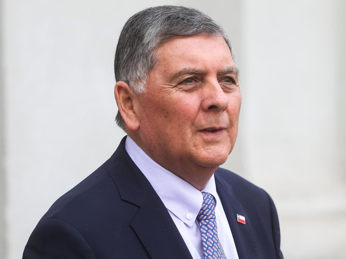 Gobierno descarta plebiscito para destrabar reforma de seguridad: “No se ha pensado ni está pensando” en hacerlo