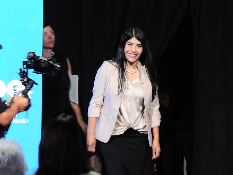 Ministra Ximena Lincolao declaró que posee un patrimonio superior a US$60 millones: así se compone