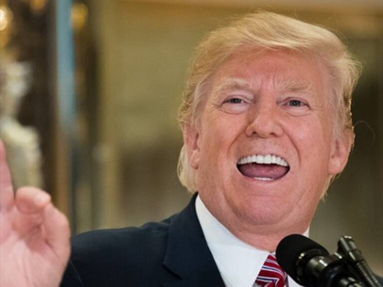 Proponen impuesto a las páginas porno para financiar el muro de Trump