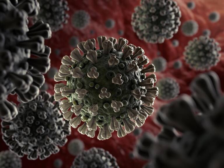 Ministro de Salud británico aseguró que la nueva cepa de coronavirus encontrada está «fuera de control»
