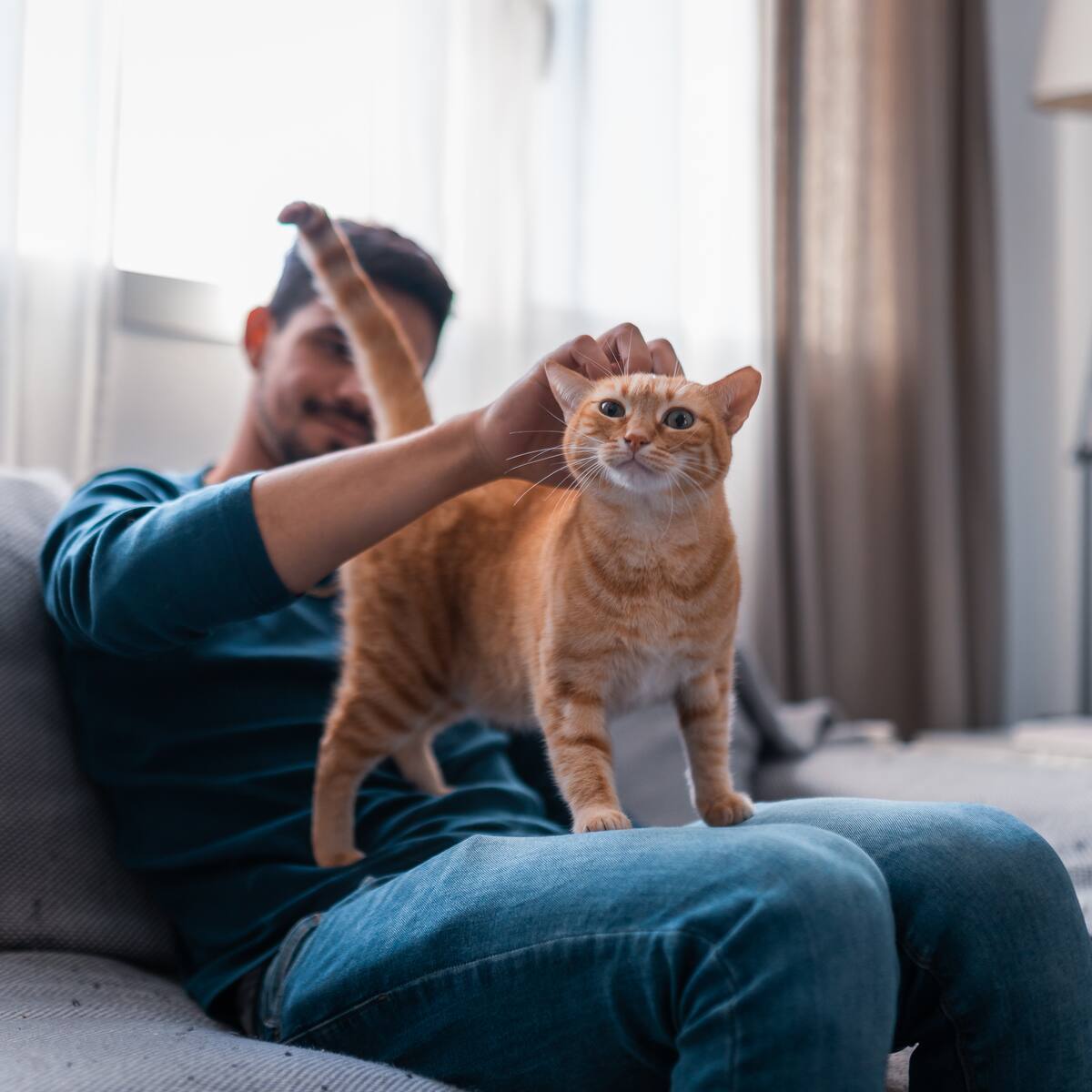 Estudio revela por qué los gatos maúllan el doble a los hombres que a las mujeres